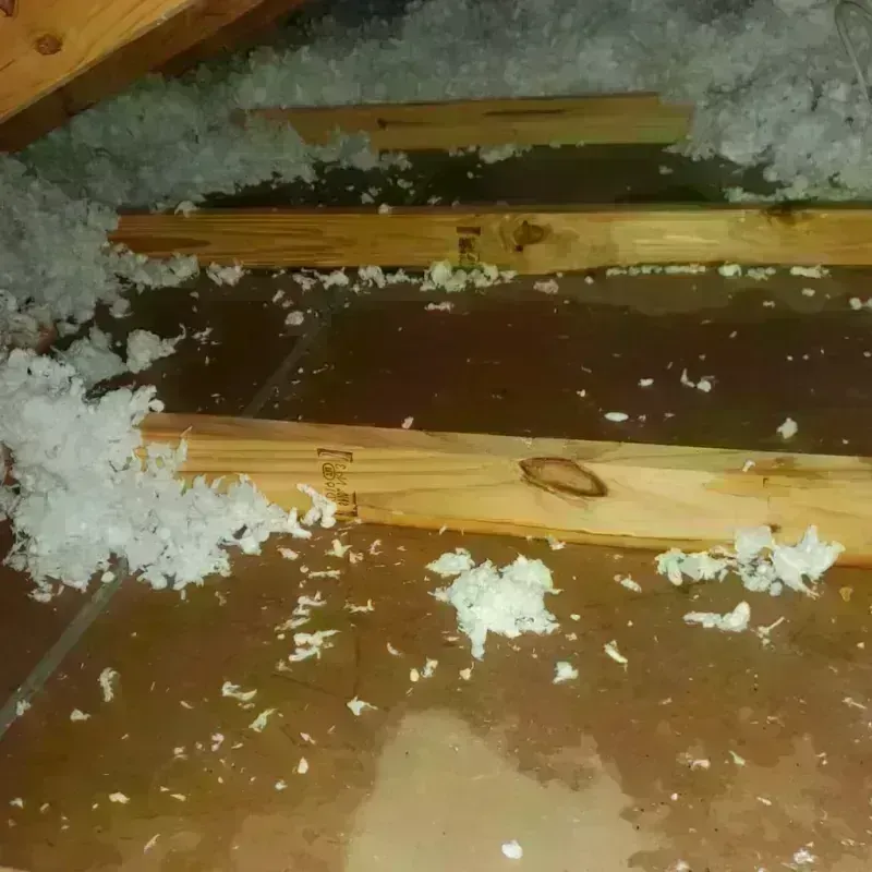 Attic Water Damage in Tom Green County, TX